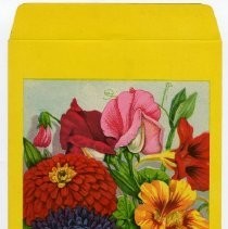 Seed Packet Envelope