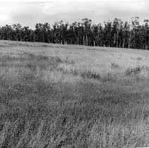 Clay Station Property