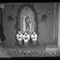 Negative, Safety, Unknown