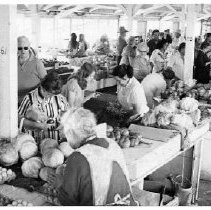 Shoppers at Farmers Free Market