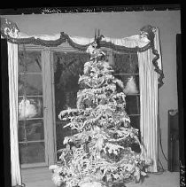 Fred Bonetti's Christmas Tree