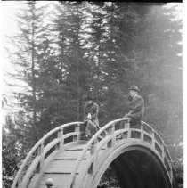 Drum Bridge in the Japanese Tea Garden
