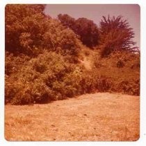 Photographs of landscape of Bolinas Bay