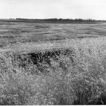 Clay Station Property