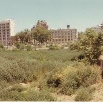 Sacramento Area Redevelopment