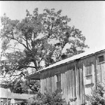 Negative, Safety, Unknown