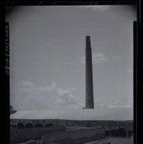 Negative, Safety, Unknown