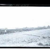 Negative, Safety, unknown