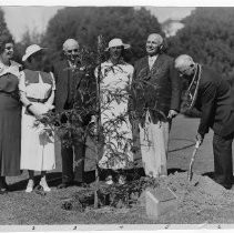 Exterior view of group planting a redwood tree on the grounds in Capitol Park in memory of the late Governor James Rolph, Sept. 9, 1934