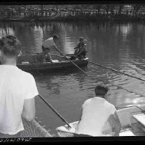 Negative, Safety, Unknown