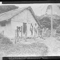 World War II Pacific Theater Island Natives