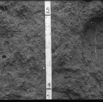 Negative, Glass Plate