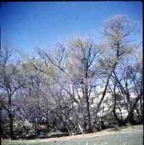 Slides of California Historical Sites. Anza Camp, San Carlos Pass, Riverside County, Calif