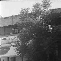 Negative, Safety, Unknown