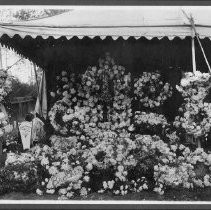 Cemetery Funeral Arrangements