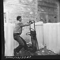 Negative, Safety, Unknown