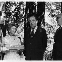 Mrs. Brutus K. Hamilton with three unidentified men in the Brutus K. Hamilton Grove at UC Berkeley