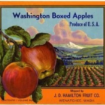 Washington Boxed Apples