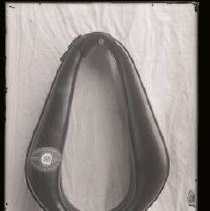 Negative, Glass Plate