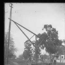 Negative, Glass Plate