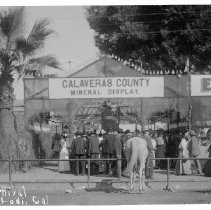 Tokay Carnival Lodi, California