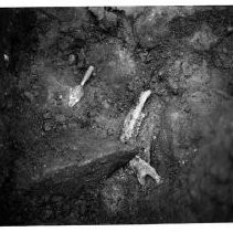 Drake's Bay. "Jawbone, possible Drake landing, Drakes Bay, California."