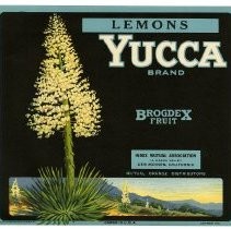 Yucca Brand