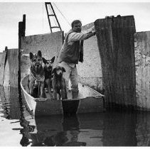 Three Dogs in a Boat