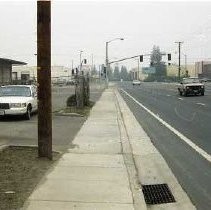 Richards Blvd. Tree planting beautification project