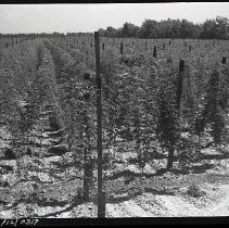 Negative, Safety, Unknown