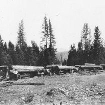 Logging Trucks
