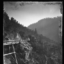 Negative, Glass Plate