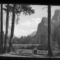 Yosemite Park