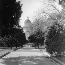 View of the Capitol