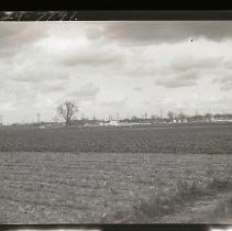 Negative, Safety, unknown