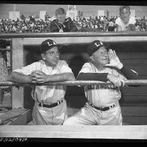 Negative, Safety, Unknown