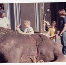 Brushing an Elephant