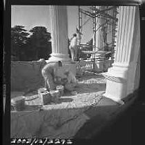 Negative, Safety, Unknown