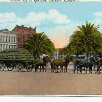 Load of Almonds, Stockton, California