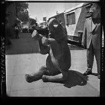 Negative, Safety, Unknown