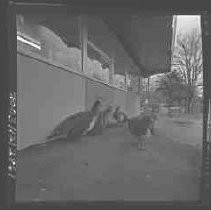 Negative, Safety, Unknown