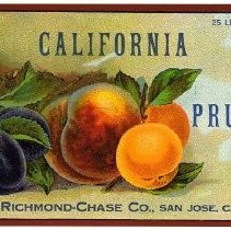 California Prunes