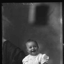 Negative, Glass Plate