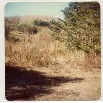 Photographs of landscape of Bolinas Bay
