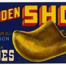 Wooden Shoe Brand