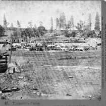 Teamster's Camp, at Colfax, Placer County