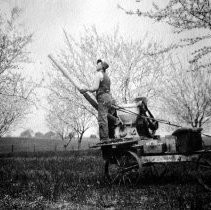 Harold Dewey Fumigating Trees