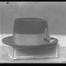 Negative, Glass Plate