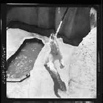 Negative, Safety, Unknown