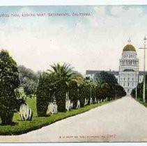 Avenue in Capitol Park, Looking West, Sacramento, California